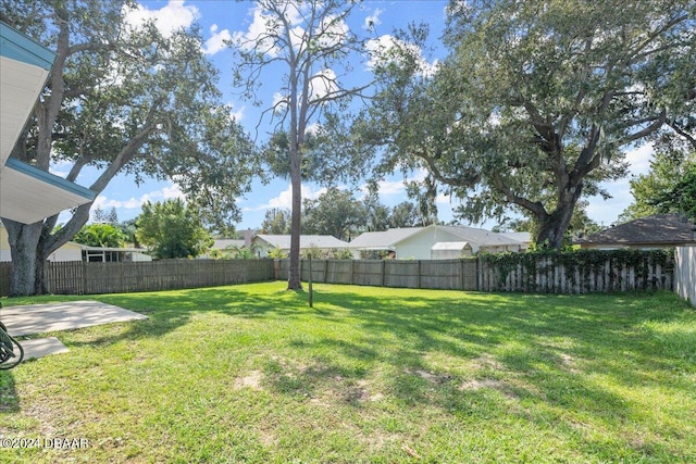 view of yard featuring a patio area