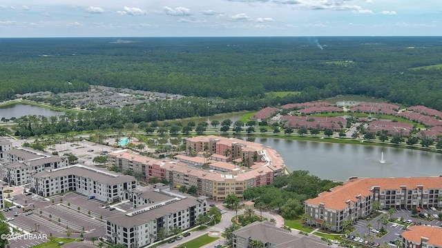 3368 Marsili Ave, New Smyrna Beach, FL 32168 - bird's eye view of a forest and a large body of water