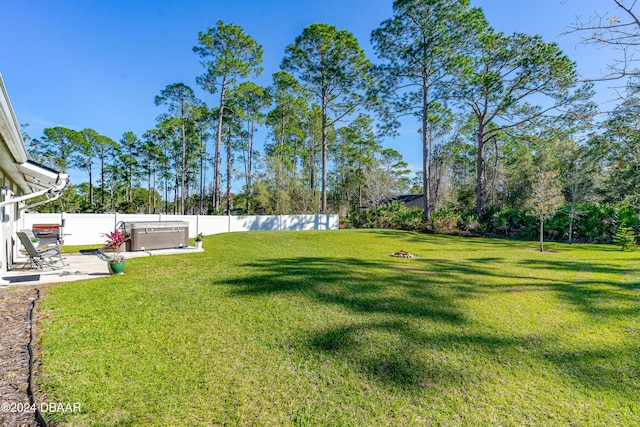 view of yard featuring a patio area