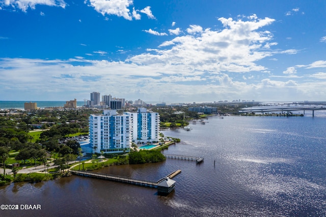 aerial view with a water view