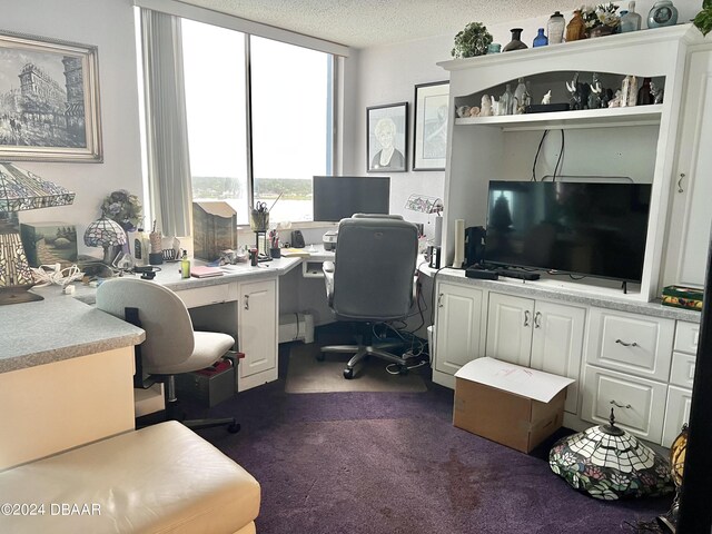 935 N Halifax Ave Unit 907, Daytona Beach, FL 32118 - office space featuring a textured ceiling and dark colored carpet