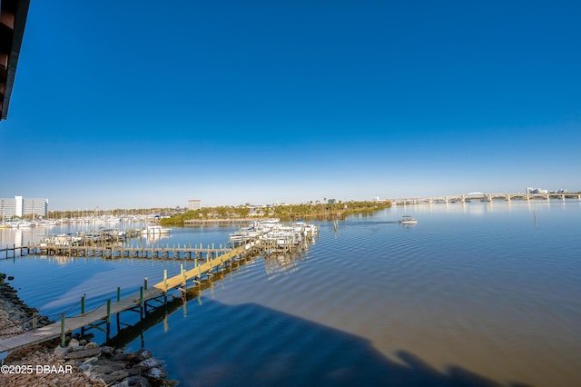 dock area with a water view