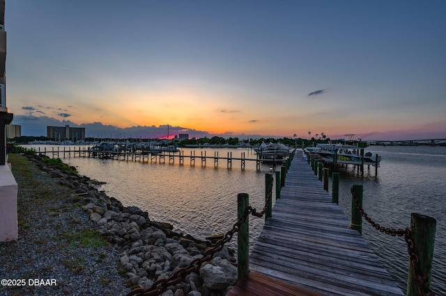 dock area with a water view