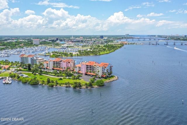 bird's eye view with a water view