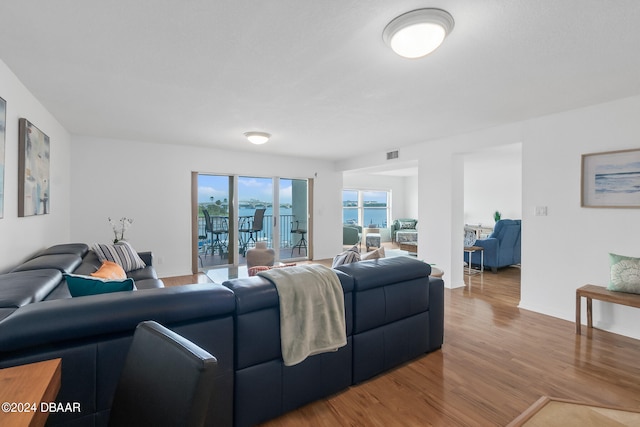 living room featuring light hardwood / wood-style floors