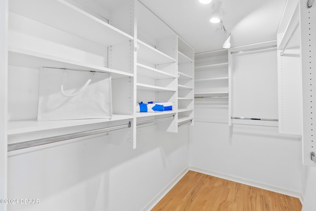 walk in closet with hardwood / wood-style floors