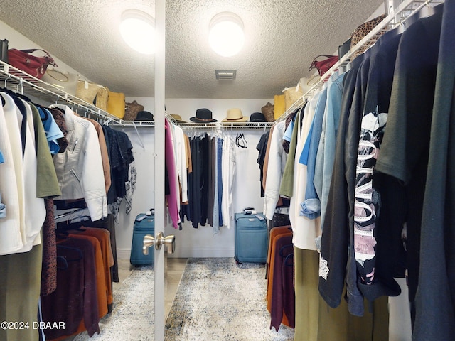 view of walk in closet