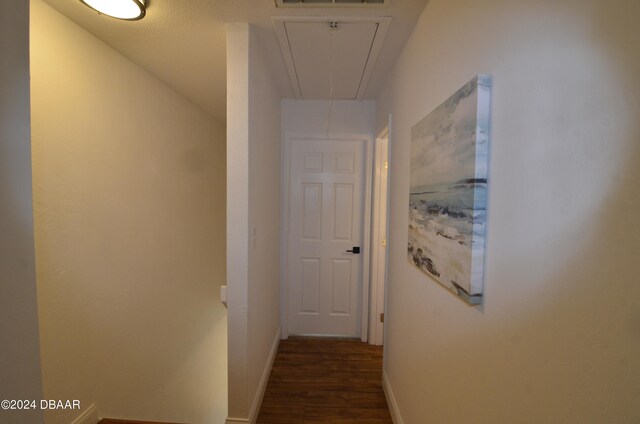 hallway with dark wood-type flooring