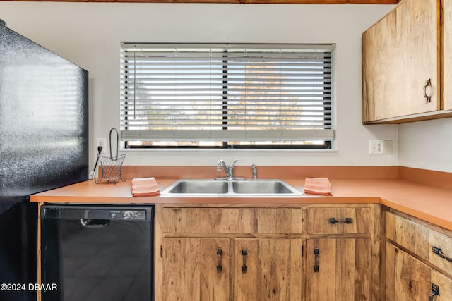 kitchen with sink and black dishwasher