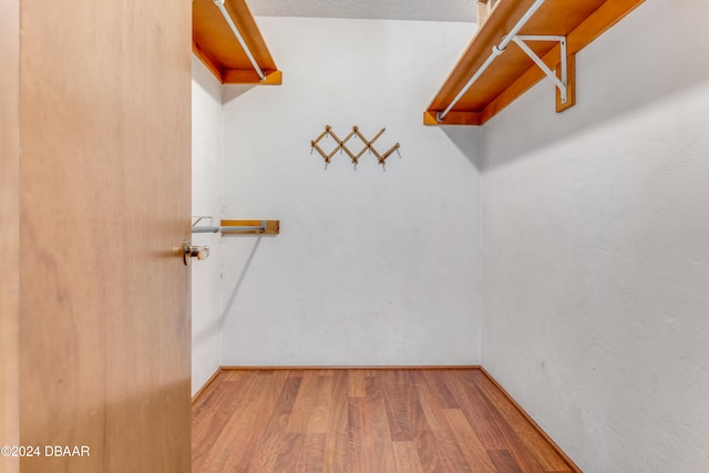 spacious closet with light wood-type flooring