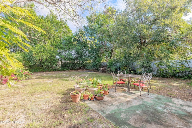 view of yard featuring a patio area