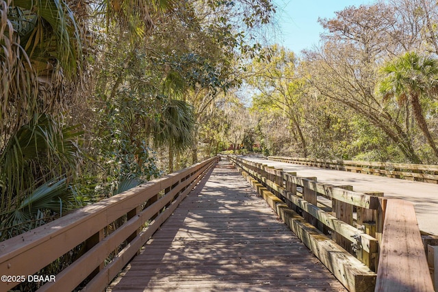 208 Pine Cone Trl, Ormond Beach, FL 32174 - view of home's community