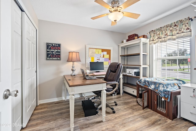 office area featuring hardwood / wood-style flooring and ceiling fan