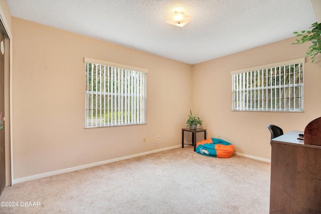 unfurnished office with a textured ceiling, a healthy amount of sunlight, and light carpet