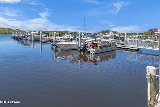 dock area featuring a water view