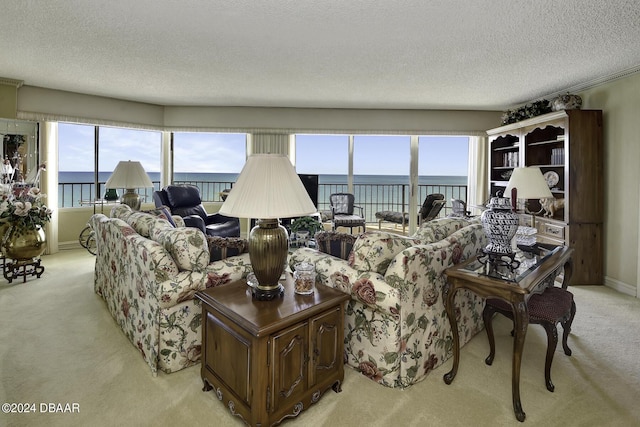 2425 S Atlantic Ave Unit 1403, Daytona Beach, FL 32118 - living room with light carpet, a water view, a textured ceiling, and baseboards