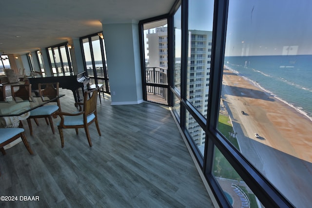 dining area featuring wood-type flooring, plenty of natural light, and a view of the beach