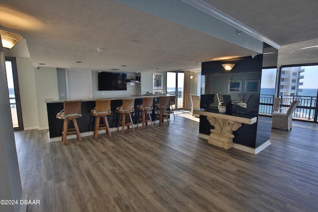 interior space featuring kitchen peninsula, a water view, and dark hardwood / wood-style floors