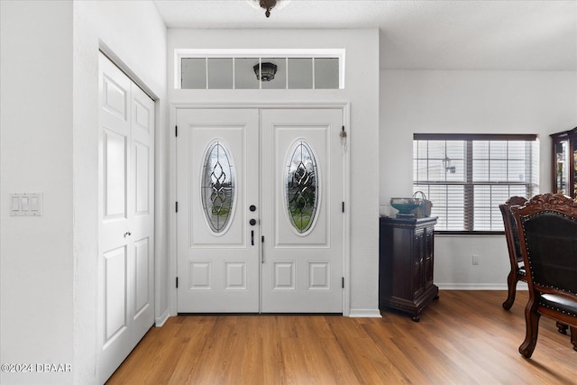 entryway featuring wood-type flooring