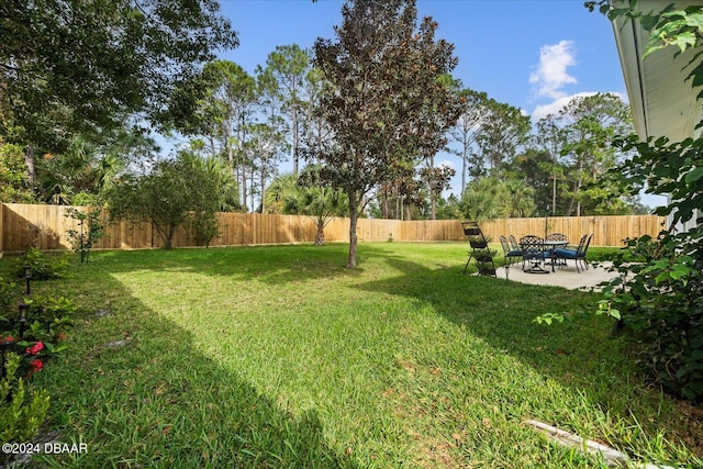 view of yard featuring a patio