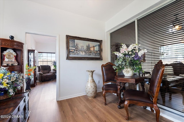 dining area with a wealth of natural light and wood-type flooring