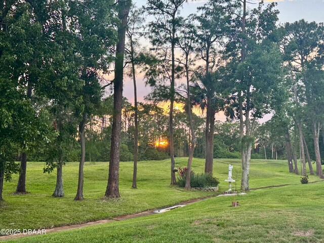 528 Crooked Stick Dr, Daytona Beach, FL 32114 - view of home's community featuring a yard