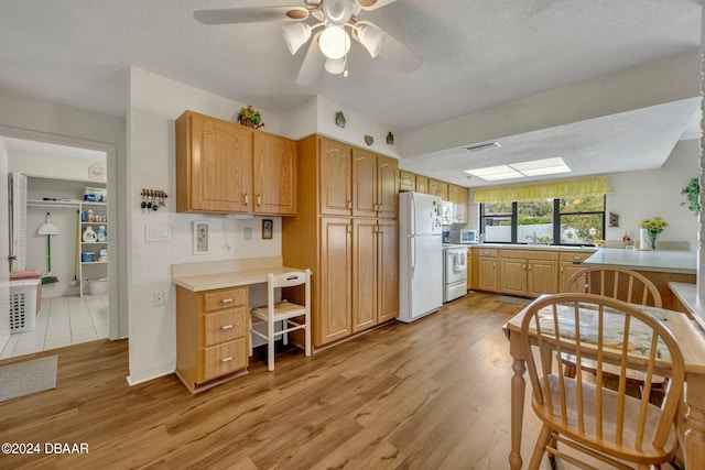 806 Carey Dr, South Daytona, FL 32119 - photo 12