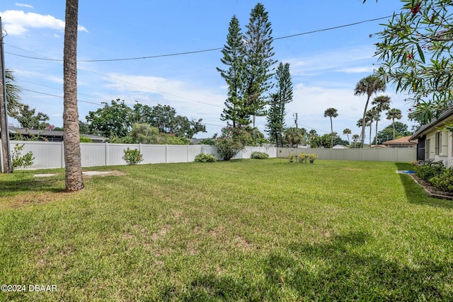 806 Carey Dr, South Daytona, FL 32119 - photo 34