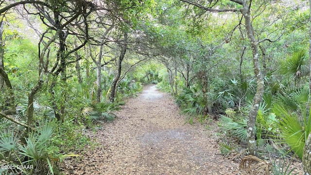 70 Ocean Shore Dr, Ormond Beach, FL 32176 - view of road featuring a forest view