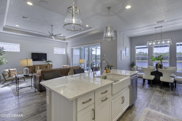 kitchen featuring pendant lighting, sink, a raised ceiling, and an island with sink