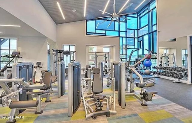 exercise room featuring carpet and a high ceiling