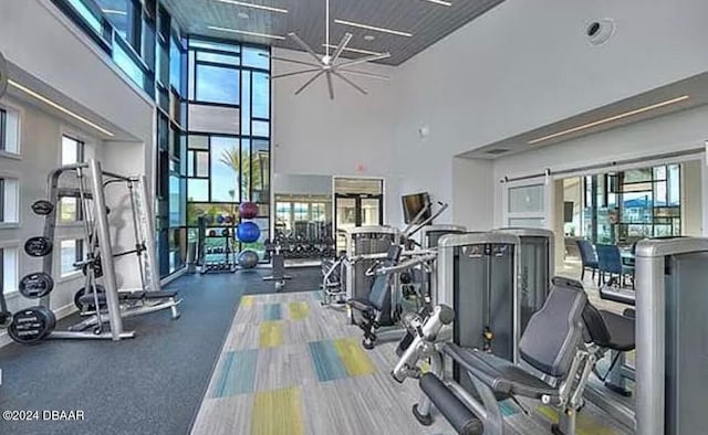 exercise room with a wealth of natural light and a high ceiling