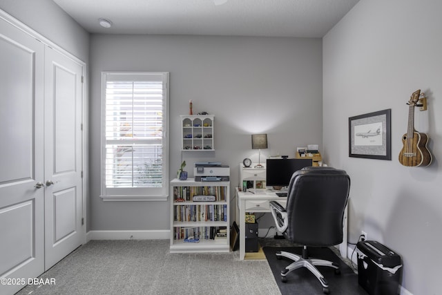 office space with carpet floors