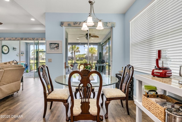 dining room with ceiling fan and wood-type flooring