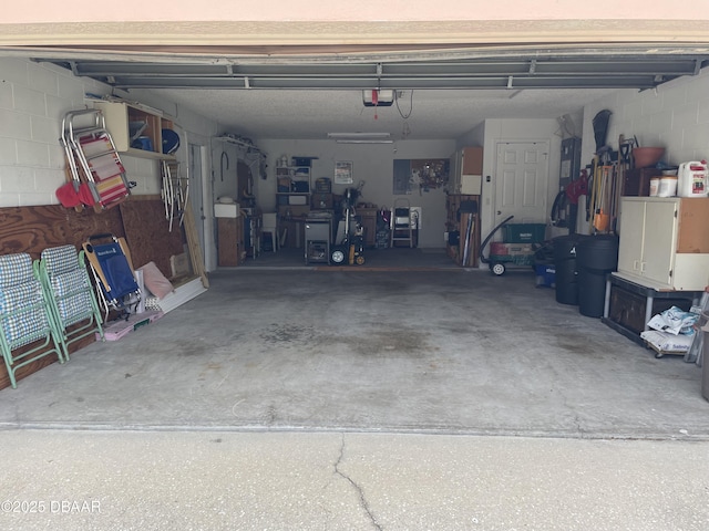 6037 Hickory Grove Ln, Port Orange, FL 32128 - garage with a garage door opener, electric panel, and concrete block wall