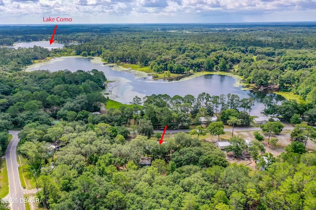 343 Lake Como Dr, Pomona Park, FL 32181 - aerial overview of property's location featuring a forest and a nearby body of water