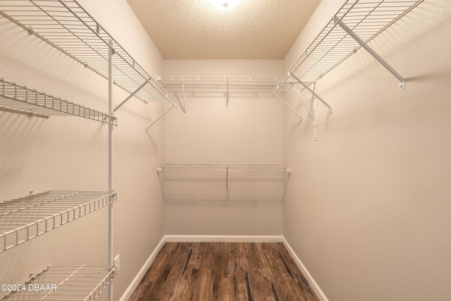 spacious closet featuring dark hardwood / wood-style floors