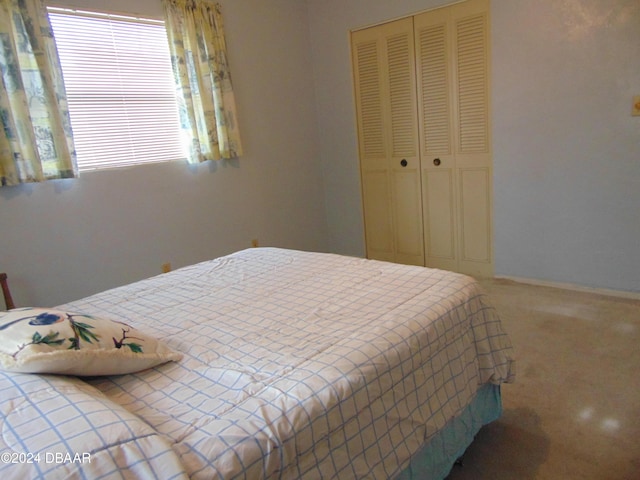 bedroom featuring carpet floors and a closet