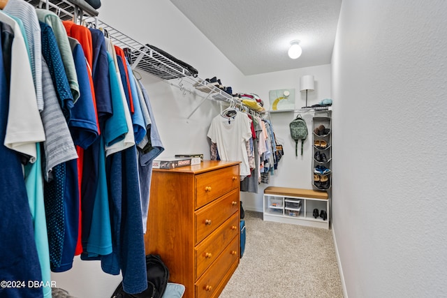 walk in closet with light carpet