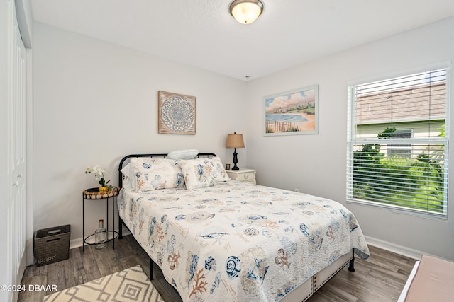 bedroom featuring dark wood-type flooring and a closet