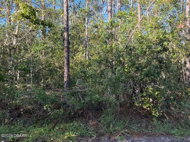 4637 Kola Rd, New Smyrna Beach FL, 32168 land for sale