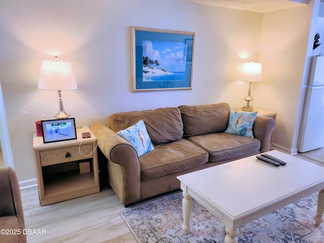 living room featuring light hardwood / wood-style floors