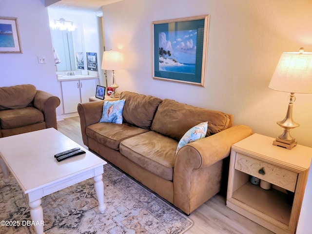 living room with light hardwood / wood-style floors