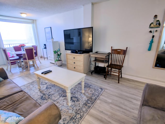 living room featuring light hardwood / wood-style floors