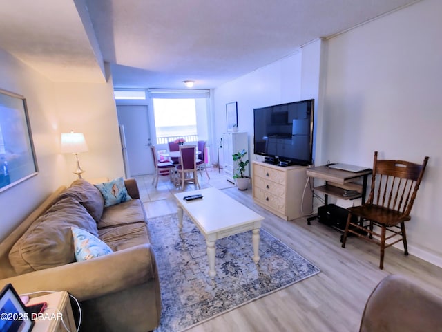 living room with light hardwood / wood-style flooring