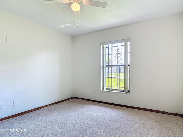 212 Wellington Dr, Daytona Beach, FL 32119 - photo 33