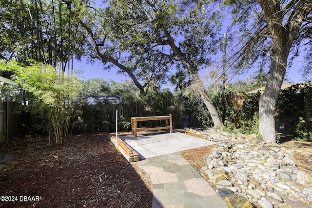 view of yard with a patio