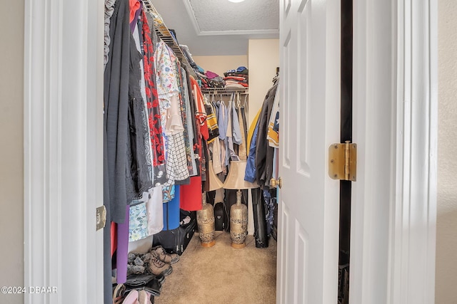 spacious closet with carpet