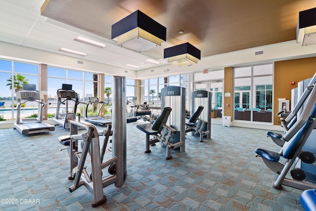 exercise room with visible vents, a paneled ceiling, and dark colored carpet