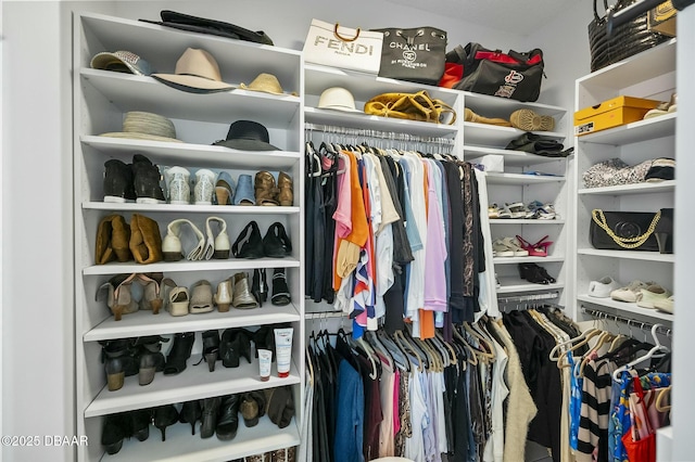 view of walk in closet